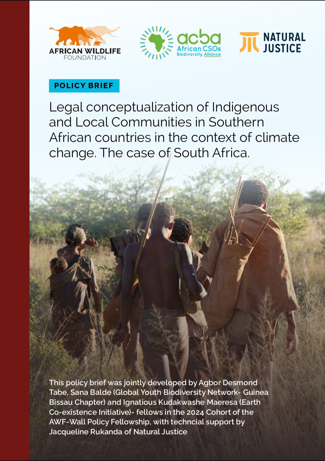 Legal conceptualization of Indigenous and Local Communities in Southern African countries image